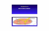 CAP-05b Metabolismo(09) - UPRMacademic.uprm.edu/~amassol/biol3770/CAP-05b_Metabolismo.pdfCZp ADP D + ATP (a) Substrate-level phosphorylation Energized membrane ADP + Pi AT p Less energized