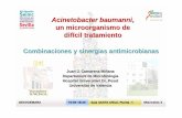 un microorganismo de difícil tratamiento · 2019-03-07 · Acinetobacter baumanni, un microorganismo de difícil tratamiento Combinaciones y sinergias antimicrobianas Juan J. Camarena