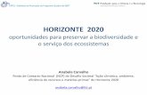 HORIZONTE 2020 - Pandaawsassets.panda.org/downloads/7_horizon2020_rede_natura...HORIZONTE 2020 O maior programa de financiamento de I&I na UE Um único programa que reune três iniciativas/programas