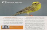 Nuevo Documento de Microsoft Word · 2014-06-24 · POSTURA El canario Texto Manuel Garcia Piedra Lizard Existen varias teorías sobre su origen, aunque ninguna de ellas ha podido