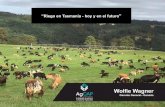 Riego en Tasmania - hoy y en el futuro · 2017-08-24 · DPIPWE Departamento de Industrias Primarias, Parques, Agua y Medio Ambiente Ø Departamento del gobierno estatal Ø Es responsable