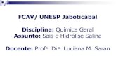 FCAV/ UNESP Jaboticabal Disciplina: Química Geral · 2014-05-26 · 1. OBJETIVOS Discutir as propriedades ácido-base dos sais em soluções aquosas; Discutir como prever qualitativamente