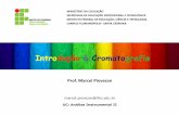 Introdução à Cromatografia · 2018-09-11 · Introdução à Cromatografia MINISTÉRIO DA EDUCAÇÃO SECRETARIA DE EDUCAÇÃO PROFISSIONAL E TECNOLÓGICA INSTITUTO FEDERAL DE EDUCAÇÃO,