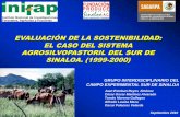 EVALUACIÓN DE LA SOSTENIBILIDAD: EL CASO DEL SISTEMA ... de agroforesteria... · EPOCA HUMEDA MODELO DE SISTEMA AGROSILVOPASTORIL ALTERNATIVO SUBSISTEMA AGRICOLA (MAIZ Y SORGO) ...