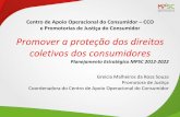 Centro de Apoio Operacional do Consumidor CCO e Promotorias de Justiça do … · 2015-10-09 · MPSC na área do Consumidor Constituição da República e Código de Defesa do Consumidor