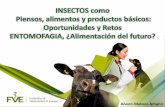 INSECTOS como Piensos, alimentos y productos …racve.es/files/2019/04/Entomofagia_IV_Conf_Academias_Cs...insectos comestibles, la Comisión solicitó a la EFSA una evaluación sobre