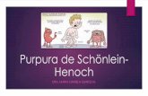 Purpura de Schönlein-Henoch - salud infantil...• Antiestreptolisinas (ASLO): un aumento progresivo en el título nos permitirá diagnosticar los casos relacionados con infección