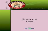 Miolo suco uva - Paraná · 2018-11-20 · 9 Introdução Uma das várias alternativas de aproveitamento da uva é a elaboração de suco. Devido à facilidade de elaboração, aliada