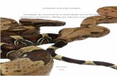 Avaliação do crescimento e maturidade sexual de …...ERRATA Gomes, L. S. Avaliação do crescimento e maturidade sexual de Boa constrictor constrictor (Jibóia) em cativeiro (Linnaeus,