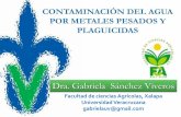Dra. Gabriela Sánchez Viveros. G… · •1er Lugar en la producción de Ag, Au, Zn, Cu, Fe, Bi y S. • Fines industriales, acuñación de monedas, joyería. •Metales Industriales