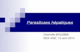 Parasitoses hépatiques - Hepatowebhepatoweb.com/DES/exposes/DES_4_2013_HAGEGE/BOUZBIB.pdf · 2013-04-20 · Echinococcose hydatique Diagnostic positif : BHC le plus souvent normal