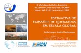 III Workshop do Modelo Brasileiro do Sistema Climático ... · III Workshop do Modelo Brasileiro do Sistema Climático Global -INLAND Viçosa, MG, 23-25 de fevereiro, 2010 Karla Longo