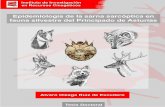 EPIDEMIOLOGÍA DE LA SARNA SARCÓPTICA ENdigital.csic.es/bitstream/10261/147404/1/sarnasarcoastur.pdf · 2017-03-28 · yo- que me apoyó en mis pinitos como ornitólogo aficionado