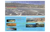 AMBIENTES FLUVIALES Geomorfologíausuarios.geofisica.unam.mx/cecilia/CT-SeEs/21AmbientesFl... · 2019-03-26 · AMBIENTES FLUVIALES Tipos de río GEOMORFOLOGIA Tipos de Ríos Rectos