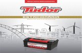MANUAL TÉCNICO BATERIA ESTACIONÁRIA · 2018-09-04 · A Bateria Tudor Estacionária foi concebida com o objetivo de conferir excelente desempenho elétrico aliado à alta confiabilidade