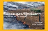Mudanças Climáticas: impactos e cenários para a Amazônia desmatamento é um fenômeno que pode se deslocar no espaço e no tempo, i.e., quando uma medida para desencorajar o crime