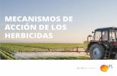 MECANISMOS DE ACCIÓN DE LOS HERBICIDAS · 2019-07-30 · Principales mecanismos de acción de los herbicidas. Mecanismos de acción /uplbr /brasilupl br.uplonline.com 4 La enzima