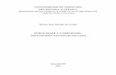 PUBLICIDADE E COMICIDADE: IDENTIDADES NACIONAIS EM CENAcomunicacaoecultura.uniso.br/producao-discente/2013/pdf/Marina_… · 2°Exam.: Prof. Dr. Eneus ... Maffesoli (2001; 2008),