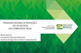 PROGRAMA NACIONAL DE PRODUÇÃO E USO DO BIODIESEL … · Biodiesel R$ 26,41 R$ 121,59 R$ 148,00 Biodiesel fabricado a partir de mamona ou fruto, caroço ou amêndoa de palma produzidos