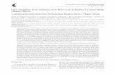 Lista sistemática de la ictiofauna en la Reserva de la ... 83_3/pdf 83_3/08-841.pdf · del estado de Chiapas, 4 en hábitat estuarino-lagunar en México: Cathorops cf. fuerthii,