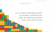 A UNIVERSIDADE COMO ESPAÇO DE FORMAÇÃO DE SUJEITOS · 2018-08-02 · espaços de formação dos sujeitos podem constituir-se, apesar da gestão contábil da universidade pública