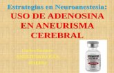 Estrategias en Neuroanestesia USO DE ADENOSINA EN … · 2016-06-29 · Contraindicaciones •Broncoconstricción: vía receptores A 2B –Ocurrieron en Asma o EPOC •Bloqueo A-V