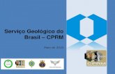 Serviço Geológico do Brasil CPRM - Agência para o ... SAR Ortoimagens MDS+MDT AQUISIÇÃO DE LINHAS PREPARO PARA A ... BDGEx/SIGWEB/INDE Dados Vetoriais Ortoimagens Altura da Vegetação