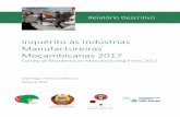 Inquérito às Indústrias Manufactureiras Moçambicanas 2017€¦ · IIM é a completude e o nível de detalhe nos dados das contas económicas - mesmo para as empresas sem contas