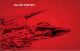 ANFÍBIOS - Chico Mendes€¦ · ANFÍBIOS - Chico Mendes ... Anfíbios