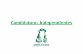 Candidaturas Independientesieez.org.mx/Otra/Inf_rel/15 aniversario/Dr Santiago Nieto...Caso Castañeda Gutman • Que en particular, en la sentencia del Caso Castañeda Gutman, la