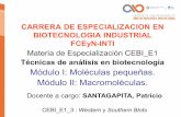 Módulo I: Moléculas pequeñas. Módulo II: Macromoléculas.biotecnologiaindustrial.fcen.uba.ar/wp-content/... · Buffer de bloqueo: BSA 0,1 -1% + Tween 20 0,005% - leche en polvo