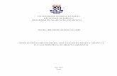 UNIVERSIDADE FEDERAL DA BAHIA FACULDADE DE DIREITO … · 2019-08-08 · universidade federal da bahia faculdade de direito programa de graduaÇÃo em direito danilo brandÃo rubeiz