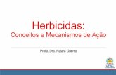 Herbicidas - CONEVA Jr.€¦ · •Pré-Plantio Incorporado (PPI) - Herbicidas que são aplicados ao solo e posteriormente precisam de incorporação mecânica ou por meio de irrigação