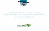 PLANO DE AÇÃO NACIONAL PARA CONSERVAÇÃO DOS …€¦ · A primeira versão do Plano de Ação para Conservação dos Mamíferos Aquáticos do Brasil foi publicada em 1997, após