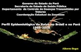 Perfil Epidemiológico da Raiva no Brasil e no Pará 1986-2018portal.cfmv.gov.br/uploads/files/SeminarioSPV-Belem_AlbertoBegot.… · No mundo, são registrados mais de 50.000 casos
