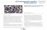 COMUNICADO TECNICO 280 - Embrapaainfo.cnptia.embrapa.br/digital/bitstream/item/146436/1/COMUNICA… · Germinação de sementes de espécies amazônicas: marupá (Simarouba amara