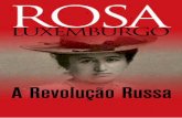 A Revolução Russa - Rosa Lux · Rosa Luxemburgo numa espécie de liberal, sem men-cionar que no seu pensamento político democracia e revolução são inseparáveis. Por sua vez,