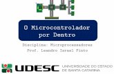 O Microcontrolador por Dentro - leandroip.comleandroip.com/wp-content/uploads/2017/02/Aula-02-O... · Aplicações Surgimento Aplicações •Dentre as vantagens está a minimização