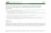 New records of Gerromorpha and Nepomorpha (Insecta ... · New information New records are presented for eleven species of Gerromorpha and ten Nepomorpha, including ﬁrst records