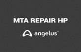 MTA REPAIR HP - Nova Endovita · 1. Esterilice los materiales que se van a utilizar en la espatulación, inserción y condensación del MTA REPAIR HP 2. Dispense el contenido de 1