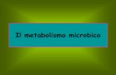 Il metabolismo microbico - DST Unisanniodstunisannio.it/sites/default/files/2019-11/13.Il... · 2019-11-06 · Panoramica del metabolismo Nel catabolismo, le fonti di energia dell’ambientesono