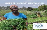 CADEIA DE HORTALIÇAS AGROECOLÓGICASprodutosagroecologicos.co.mz/wp-content/uploads/... · Uma experiência inovadora para valorizar a agricultura periurbana CADEIA DE HORTALIÇAS