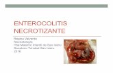 PANAMERICANONORTE 16.30 HS DRA. VALVERDE · 2016-07-14 · Un ‘baño’ de bacterias vaginales enriquece el microbioma de bebés nacidos por cesárea. Dominguez Bello. Nature Med