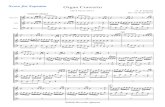 Handel Organ Conccertosekishirecorder.hiho.jp/srqmusic/trio/HandelOrganTrio.pdfOrgan Concerto Op.4 No.6 mov.1 Score for Soprano † & Ê 18 œ œœœœœœœœœœœœœœœ œ œ#œ