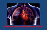 FISIOLOGIA CARDIOVASCULAR - UFJF · FISIOLOGIA CARDIOVASCULAR Coração = Bomba Vasos sanguíneos = Condutos Regulam fluxo de sangue Função Entrega de sangue para os tecidos, fornecendo