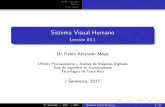 Sistema Visual Humano · Ruta visual Sistema Visual Humano Lecci on 03.1 Dr.Pablo Alvarado Moya CE5201 Procesamiento y An alisis de Im agenes Digitales Area de Ingenier a en Computadores