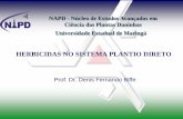 NAPD - Núcleo de Estudos Avançados em Ciência das Plantas ...eventos.ufrrj.br/simposio-abc/files/2016/09/Denis... · Exemplos da dificuldade de controle de Conyza Tratamentos Buva