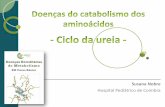 Hospital Pediátrico de Coimbra - ASIC · Particularidades Défice de OTC Rapaz - 1 só cromossoma X (herdado da mãe) Se mutação no único gene ( se mãe portadora) >> Forma neonatal