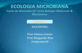 DOCENTES: Prof. Helena Galvão Prof. Margarida Reis ...w3.ualg.pt/~hgalvao/EcolMicrobiana/EcolMicrobTeor1.pdf · Bactérias sulfoxidantes - características •Formas não-pigmentadas