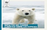 IMPACTOS DEL CAMBIO CLIMÁTICO SOBRE LAS …awsassets.wwf.es/downloads/especies_y_cambio_climatico...impacto sobre el hábitat natural del panda. Asimismo, estamos en la constante